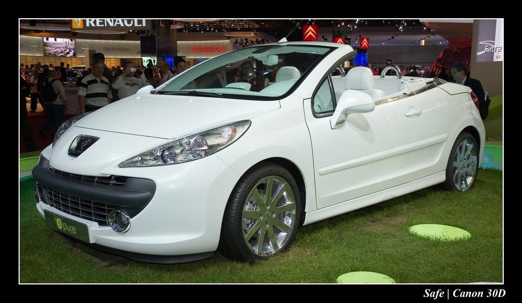 2006 - 10 - Mondial auto Paris 282